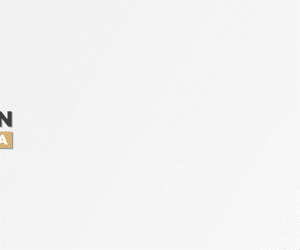 Top Selling Multipurpose WP Theme