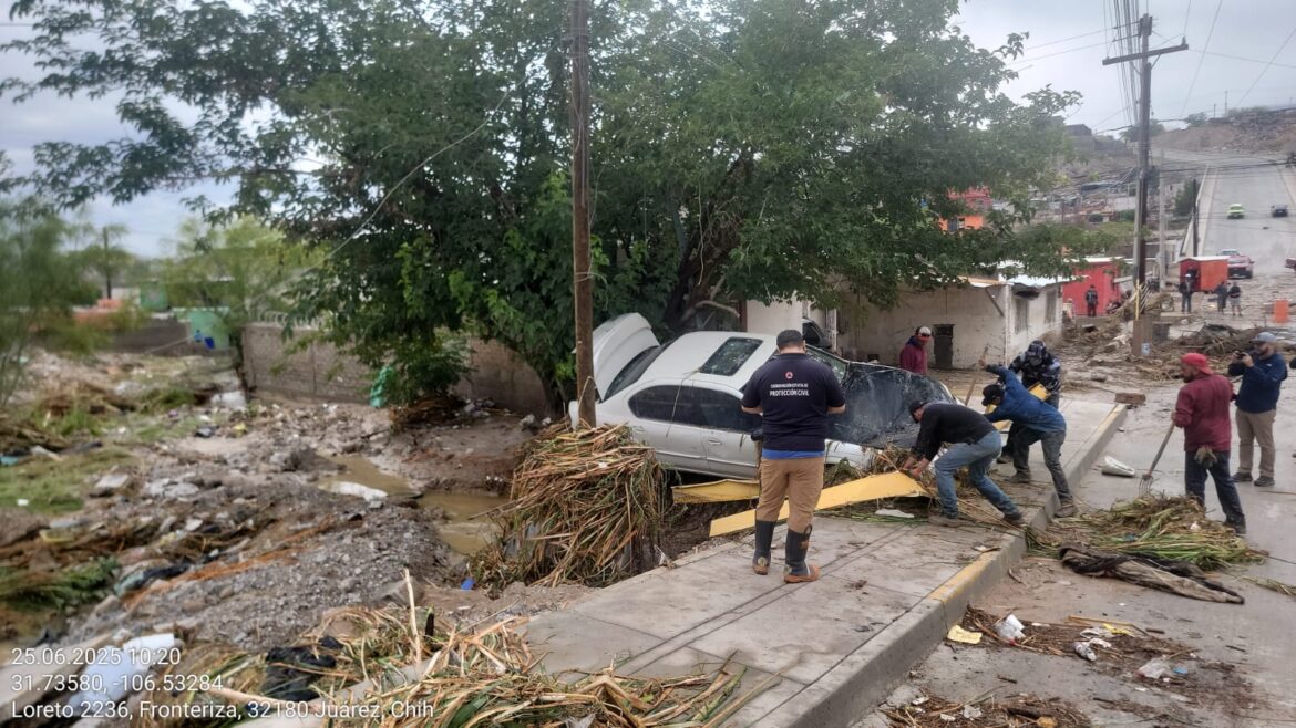 WhatsApp Image 2025-06-25 at 10.18.19 AM