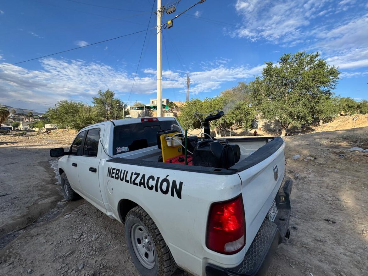 68641fce91bed__68641fce91bee