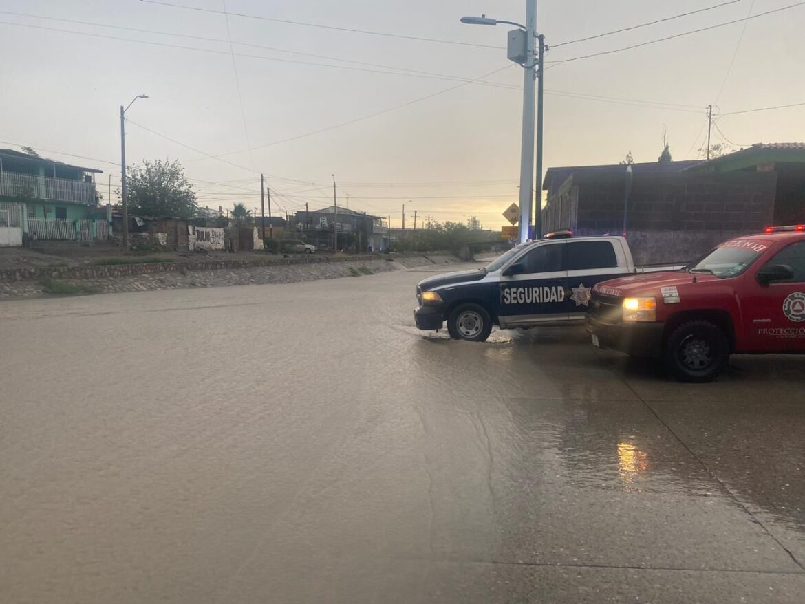 687e574492bc7__687e574492bc8