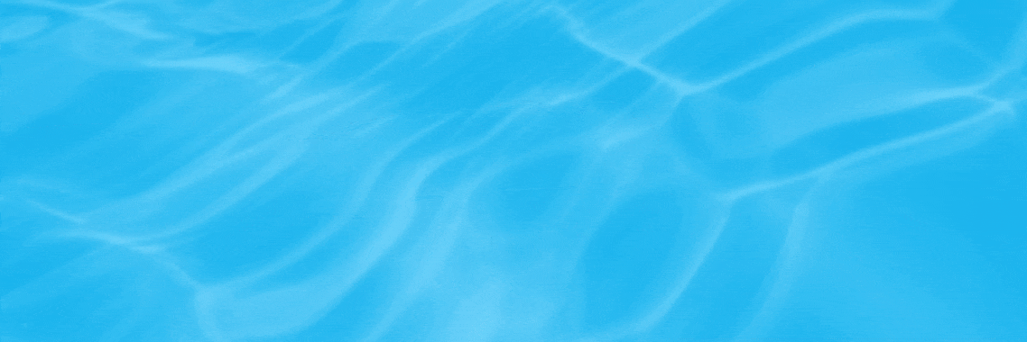 Top Selling Multipurpose WP Theme