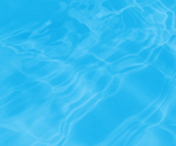 Top Selling Multipurpose WP Theme