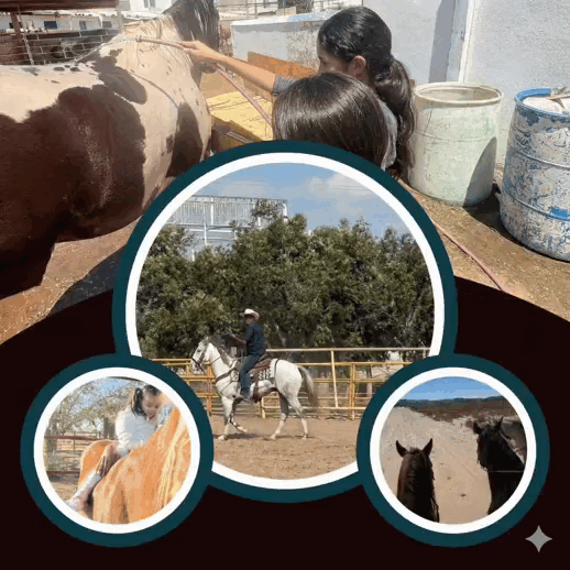 Top Selling Multipurpose WP Theme