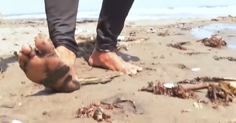 Pescadores denuncian abandono en Veracruz tras contaminación por hidrocarburo